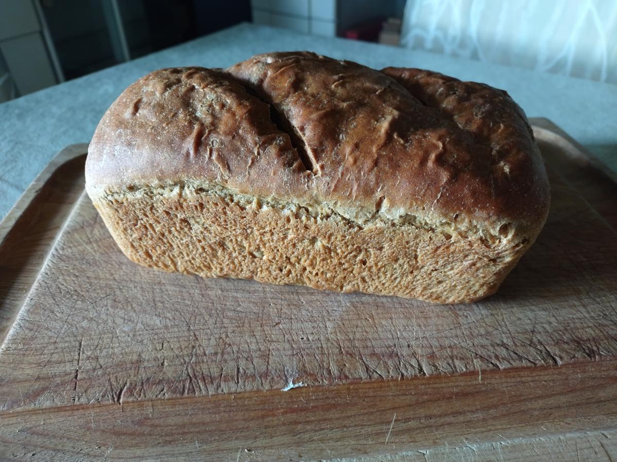 Bakery -- Einkorn bread