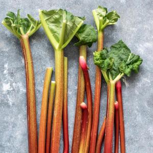 Bakery -- French rhubarb pie