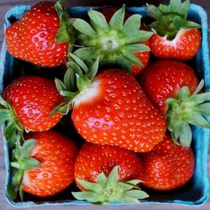 strawberries. Multiple product options available: 4