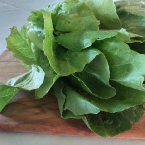 Produce - Romaine lettuce
