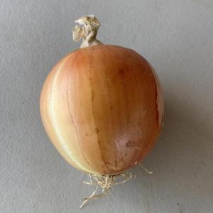 Produce- Onions