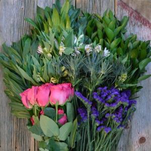 50 CM LAVENDER ROSES 1   APPROVE SUB: ORANGE OR HOT PINK ROSES