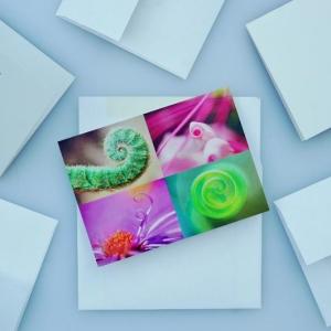 greeting cards - swirls of nature