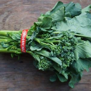 broccolini - piracicaba