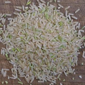 rice - long grain presidio