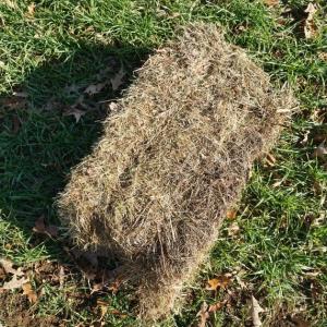 hay (on-farm pickup only)