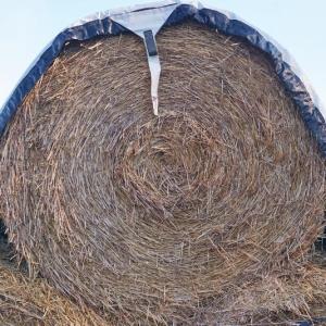 round bales (on-farm pickup only)