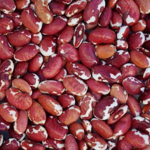 dry beans - southwest red. Multiple product options available: 4