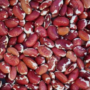 dry beans - southwest red. Multiple product options available: 3