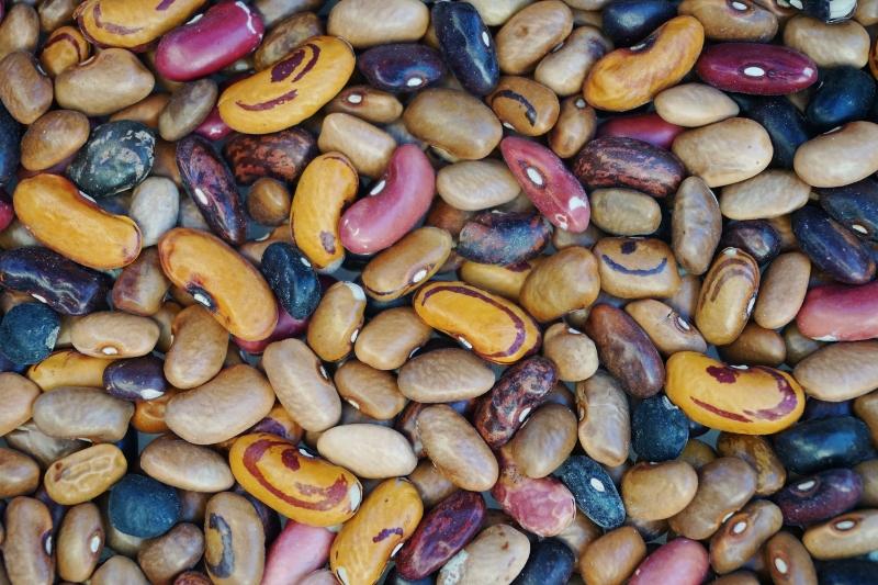 dry beans - brown bean mix