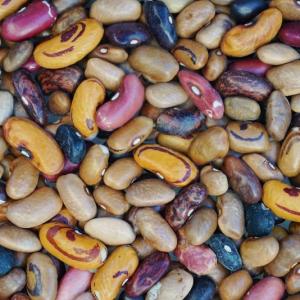 dry beans - brown bean mix
