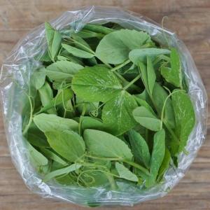 pea shoots. Multiple product options available: 2