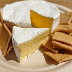 PFC -- Avondale Cheese