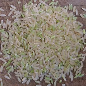 rice - long grain sahabagi