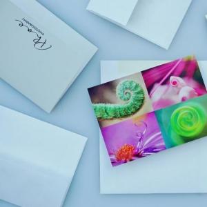 greeting cards - swirls of nature