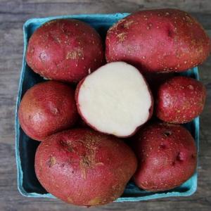 potatoes - sangre. Multiple product options available: 3