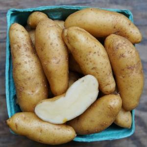 potatoes - laratte. Multiple product options available: 3