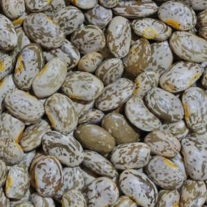 dry beans - pinto. Multiple product options available: 3