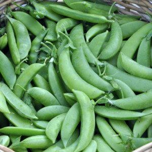 Snap Peas (Coming in May)