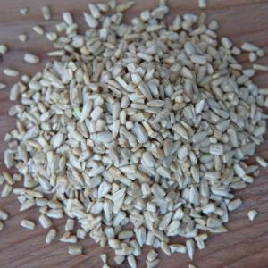 sunflower seeds - black oil. Multiple product options available: 4