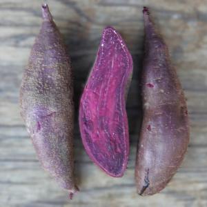 sweet potato - purple passion. Multiple product options available: 3