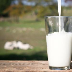 Raw A2 Milk