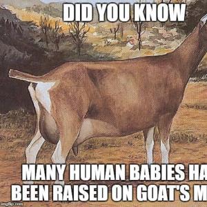 Goat Milk Gallon