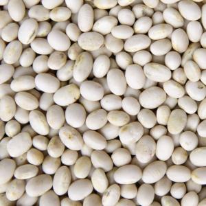 beans - navy. Multiple product options available: 3
