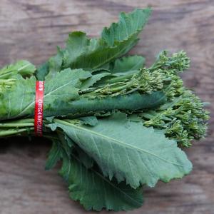 kohlrabi raab