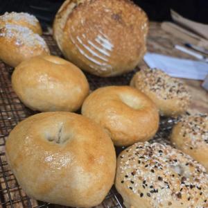 Plain Sourdough Bagels