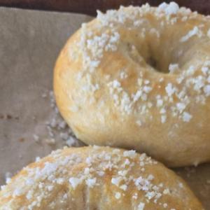 Salt Bagels