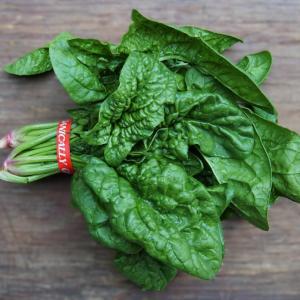 spinach - savoy