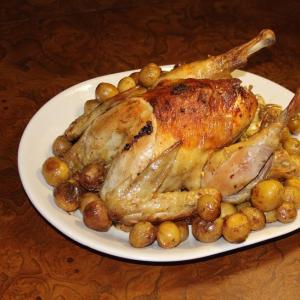 Chicken - Whole Chicken Bundle
