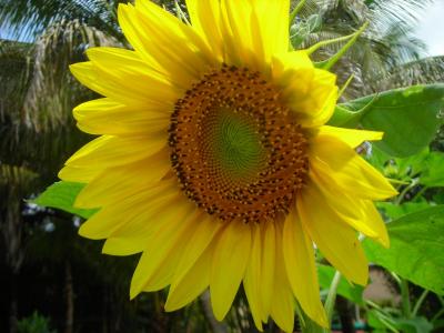 1000 ecofarms - find and buy products near you