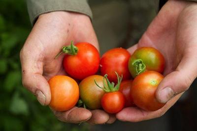 Three Hearts Farm