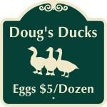 Doug's Ducks