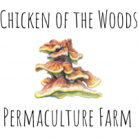 Chicken of the Woods Permaculture Farm
