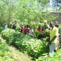 share peace pemaculture.