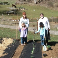 Emerald Gate Farm